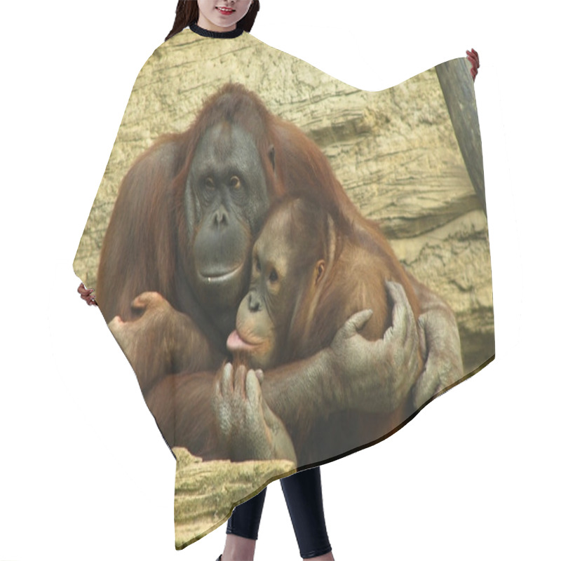 Personality  Funny Orangutangs Hair Cutting Cape