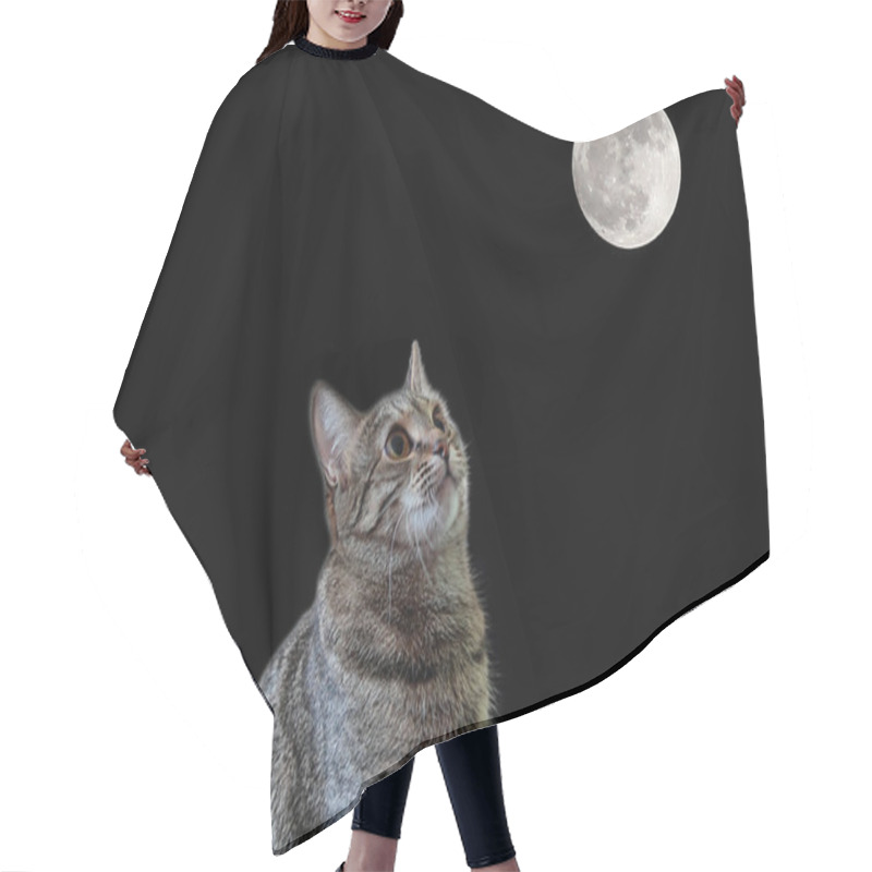 Personality  Cat Looking To The Moon Hair Cutting Cape