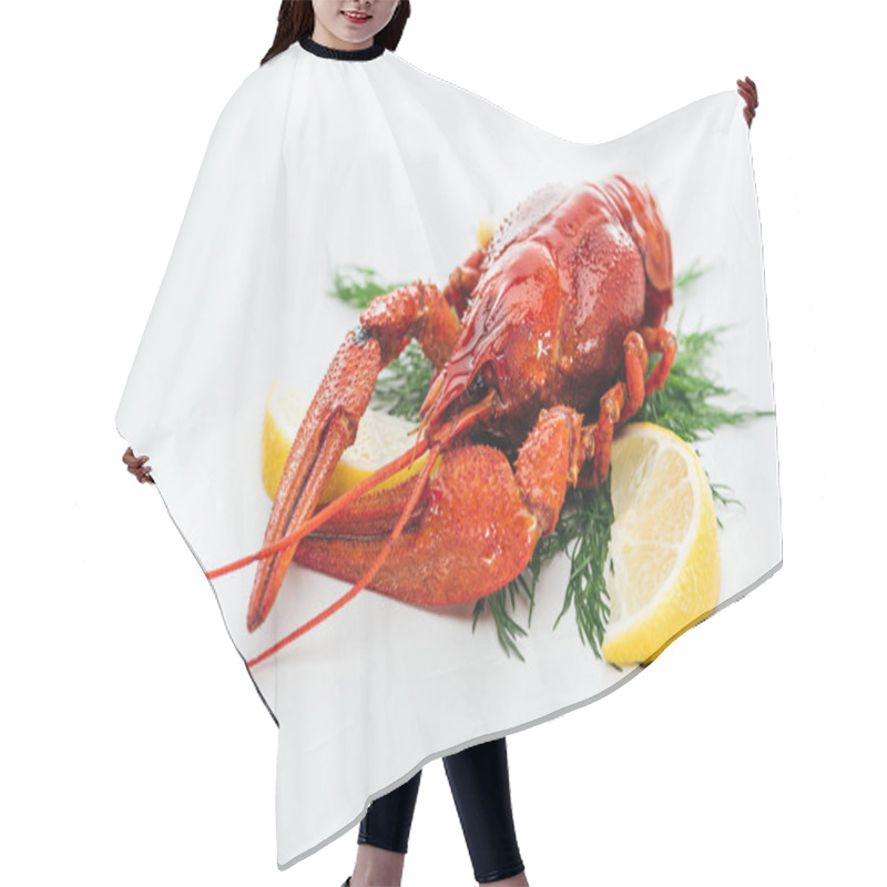 Personality  Red Lobster With Lemon Slices And Green Herbs On White Background Hair Cutting Cape