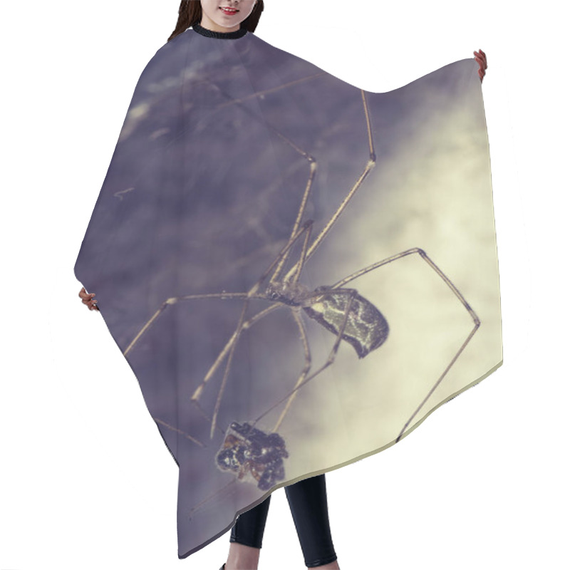 Personality  Spider And Prey Hair Cutting Cape