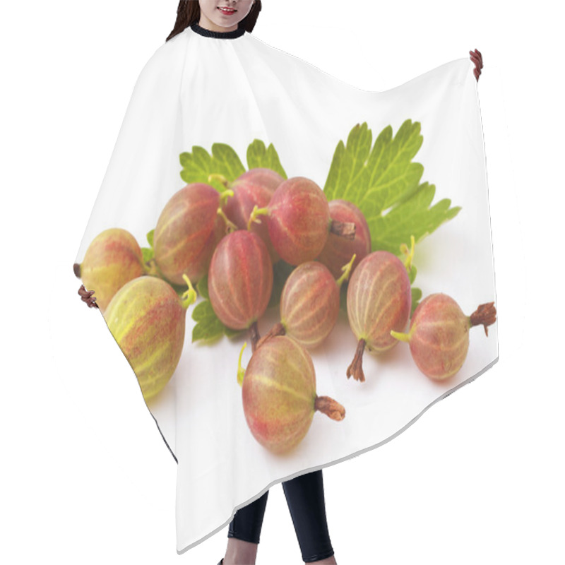 Personality  Gooseberries Hair Cutting Cape