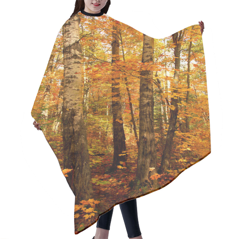 Personality  Fall Forest Hair Cutting Cape