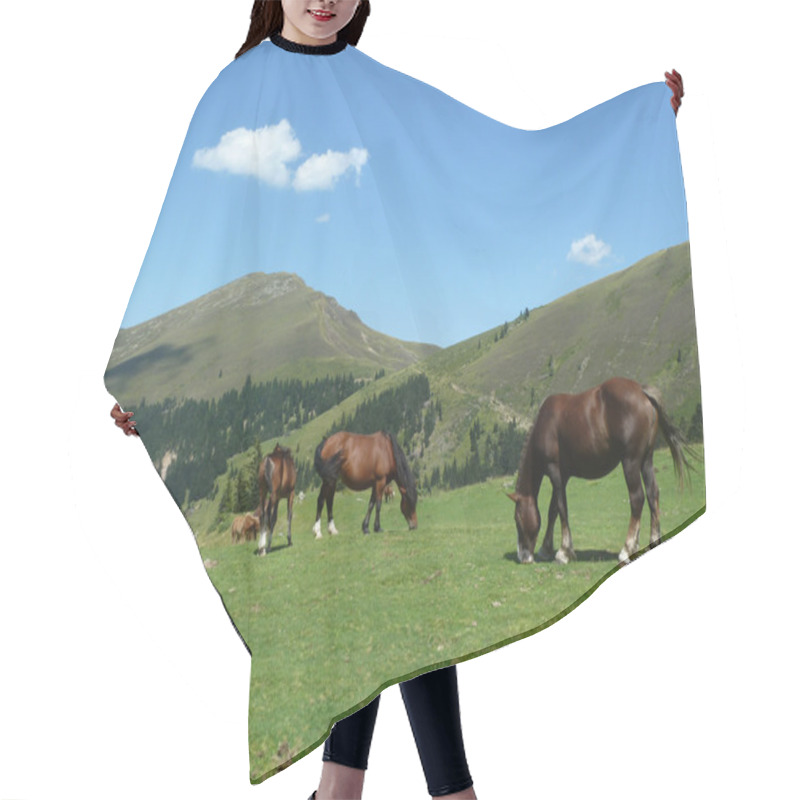 Personality  Wild Horses Grazing In The Mountains Hair Cutting Cape