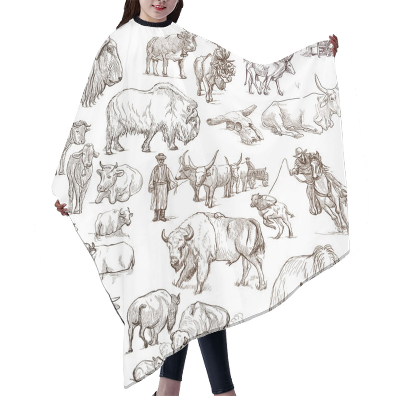 Personality  Cows And Cattle - Pack Of Animals. Hand Drawings. Hair Cutting Cape