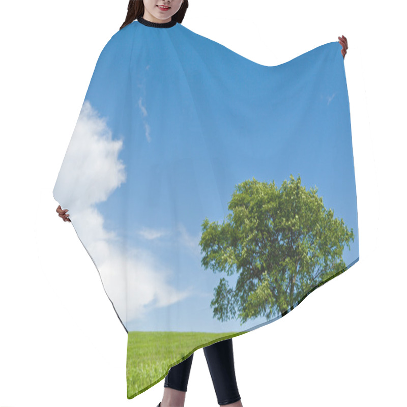 Personality  Lonely Tree - Oak Hair Cutting Cape