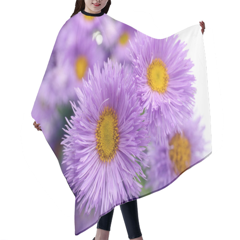 Personality  Beautiful Wild Flowers, Close Up Hair Cutting Cape