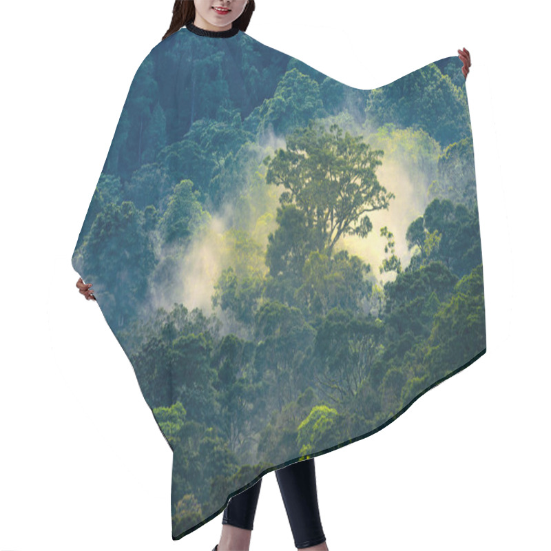 Personality  Aerial View Of A Magical Early Morning Sunrise In The Tapah Rainforest In Malaysia. Hair Cutting Cape