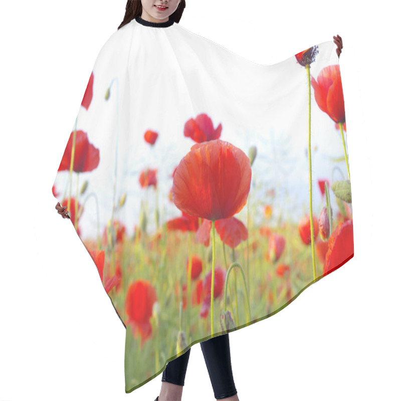 Personality  Red Poppies Hair Cutting Cape