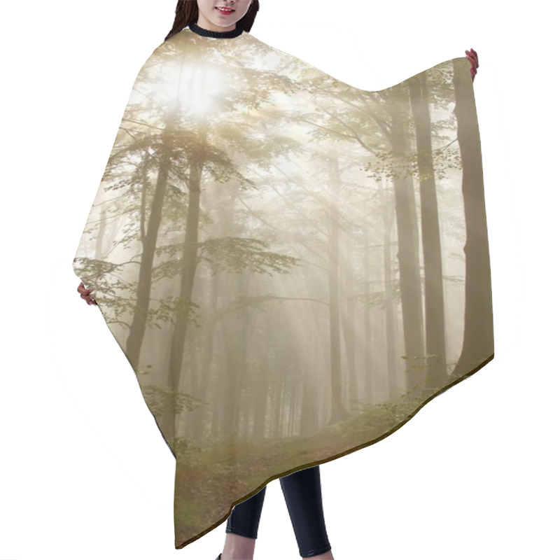 Personality  Trail Through A Misty Forest Hair Cutting Cape