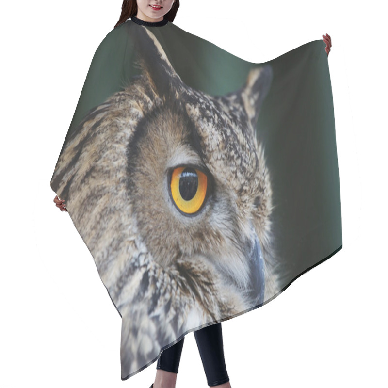 Personality  The Head Of The Owl With Yellow Eyes. Hair Cutting Cape