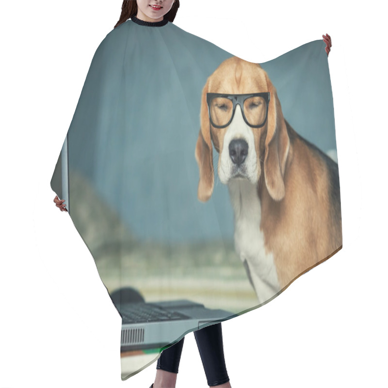 Personality  Dog In Glasses Hair Cutting Cape