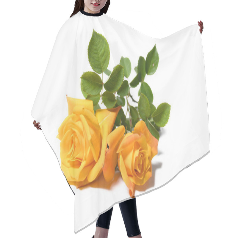 Personality  Yellow Rose Isolated On White Background  Hair Cutting Cape