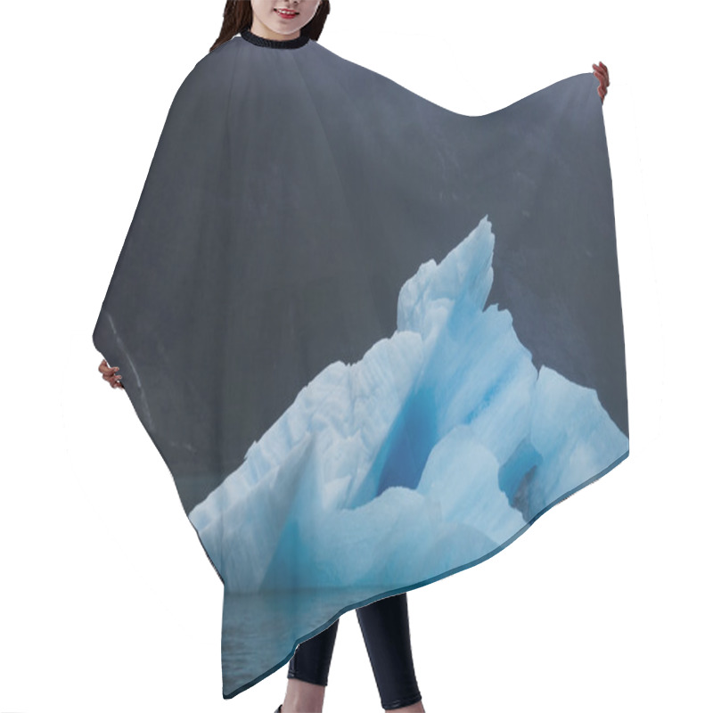 Personality  Apex0007081 Hair Cutting Cape