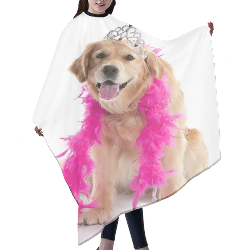 Personality  Silly Golden Retriever Hair Cutting Cape