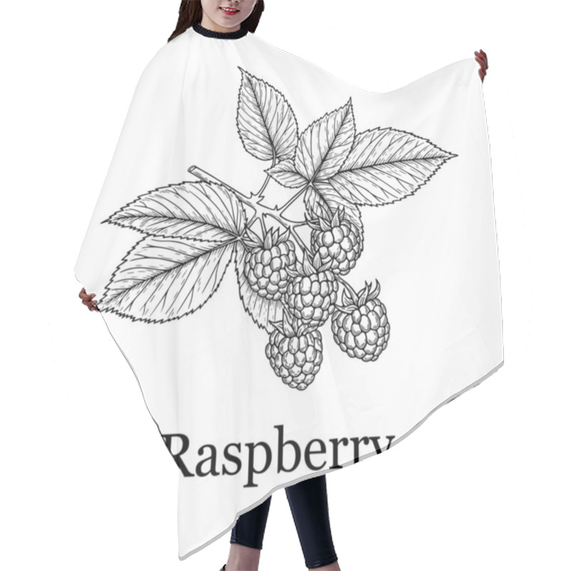 Personality  Hand-drawn Raspberry Illustration. Line Art. Fresh Fruit Design Hair Cutting Cape