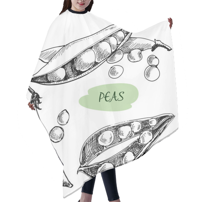 Personality  Peas. Hand Drawn Illustration Hair Cutting Cape