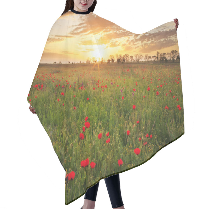 Personality  Poppy Field. Meadow With Blossoming Poppies.  Hair Cutting Cape