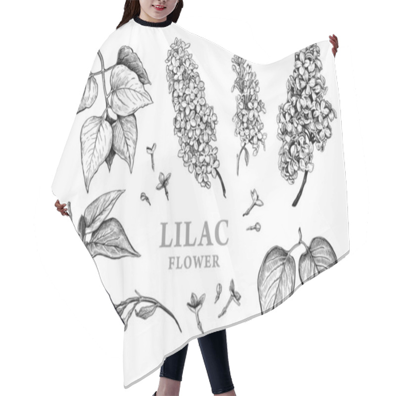 Personality  Set Of Hand Drawn Luxurious Flowers And Leaves Of Lilac. Vector Illustration Of Plant Elements For Floral Design. Black And White Sketch Isolated On A White Background. Beautiful Bouquet Of Lila Hair Cutting Cape