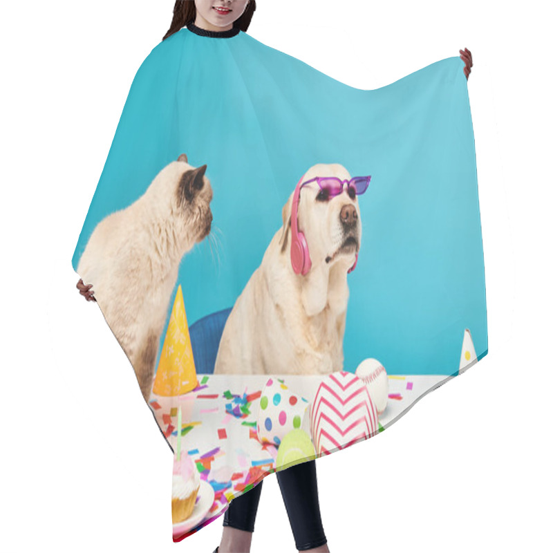 Personality  A Cat And A Dog Are Seated At A Table, Engaging In A Cozy And Animated Conversation. Hair Cutting Cape