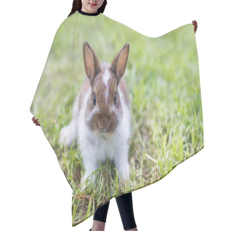 Personality  Funny Little Rabbit Laying In The Grass Hair Cutting Cape