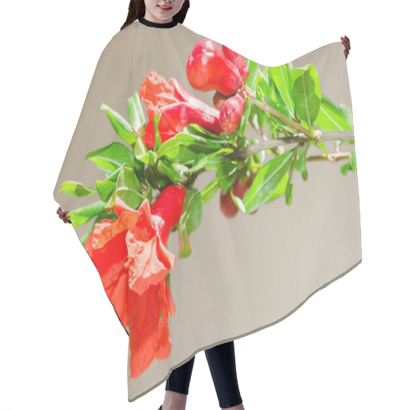 Personality  Sunlit Branch With Spring Red Pomegranate Blossom Hair Cutting Cape