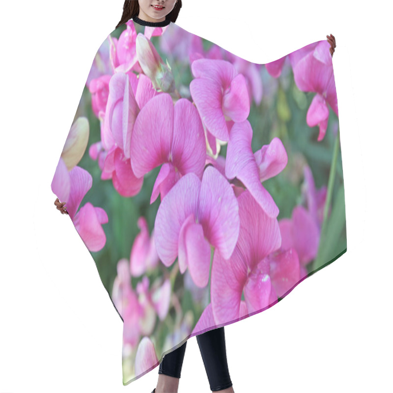 Personality  Sweetpea Flowers Hair Cutting Cape