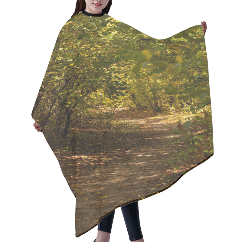 Personality  Picturesque Autumnal Forest With Golden Foliage And Path In Sunlight Hair Cutting Cape