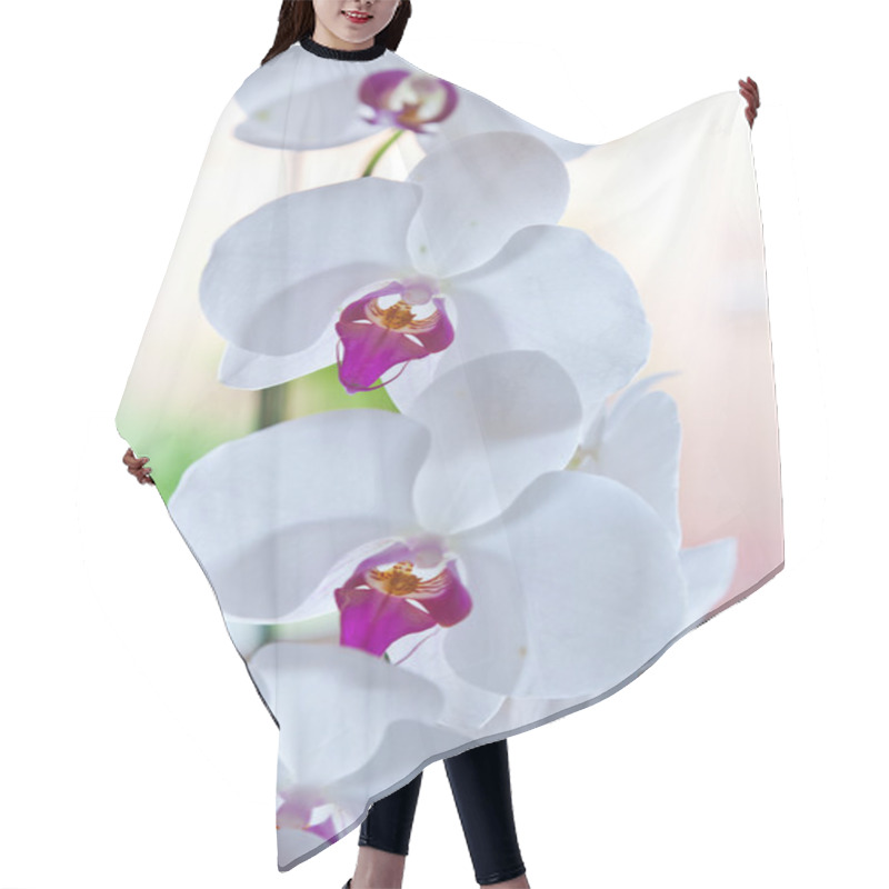 Personality  Orchid Flowers Hair Cutting Cape