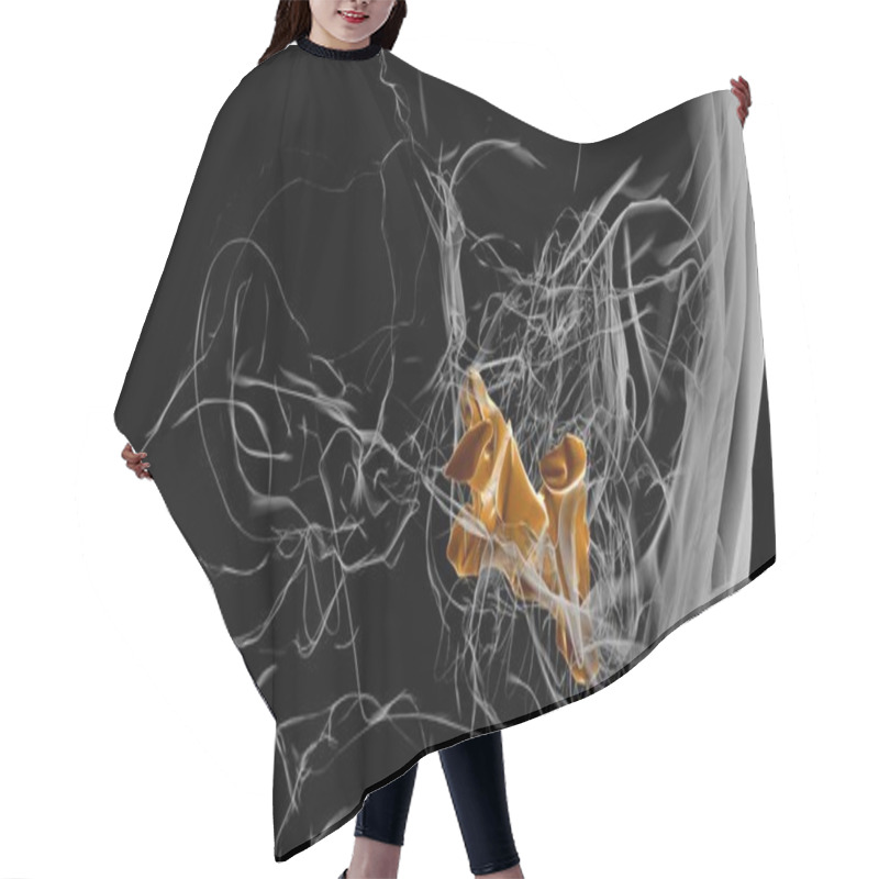 Personality  Human Skeleton Palatine Bone Anatomy 3D Illustration Hair Cutting Cape