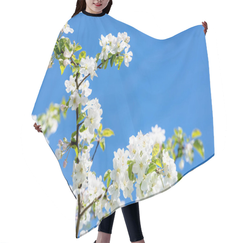 Personality  Flowering Apple, Blossom On Sky Background, White Flowers On Branch, Spring Blossoming Tree Hair Cutting Cape