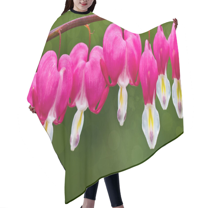 Personality  Bleeding Hearts Hair Cutting Cape