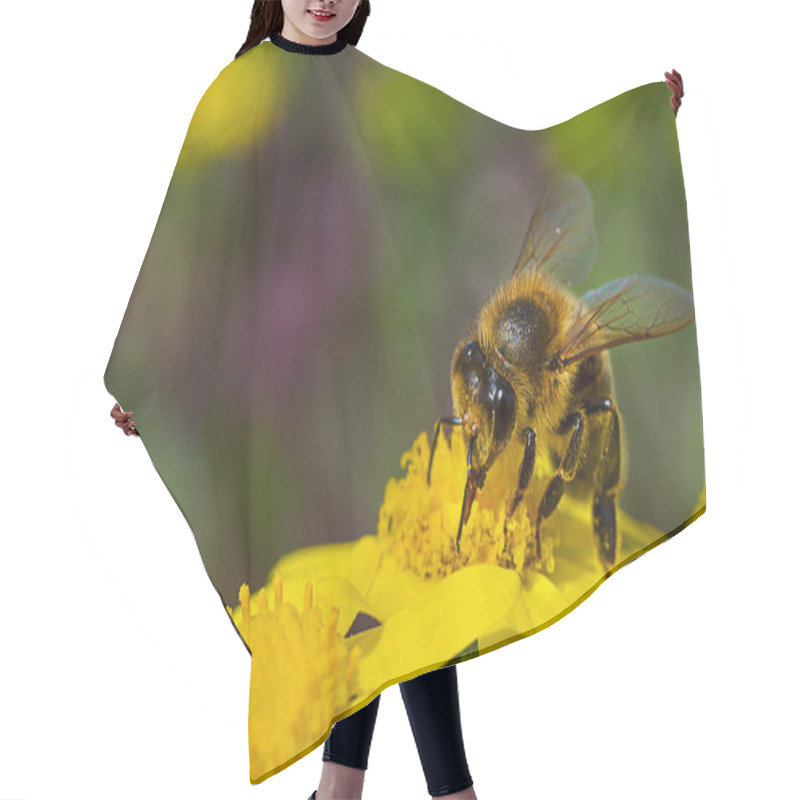 Personality  Bee On Yellow Flowe Hair Cutting Cape