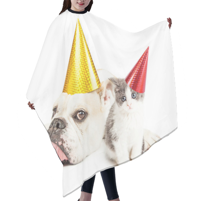 Personality  Funny Bulldog Laying With Kitten Wearing Party Hats Hair Cutting Cape