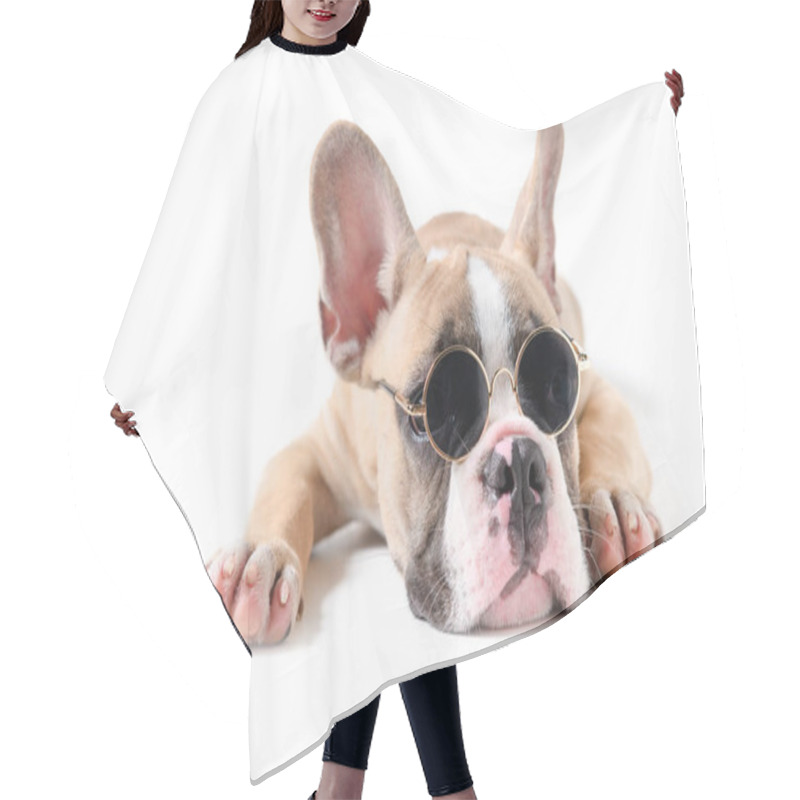 Personality  Cute French Bulldog Wear Sunglass And Sleeping  Hair Cutting Cape