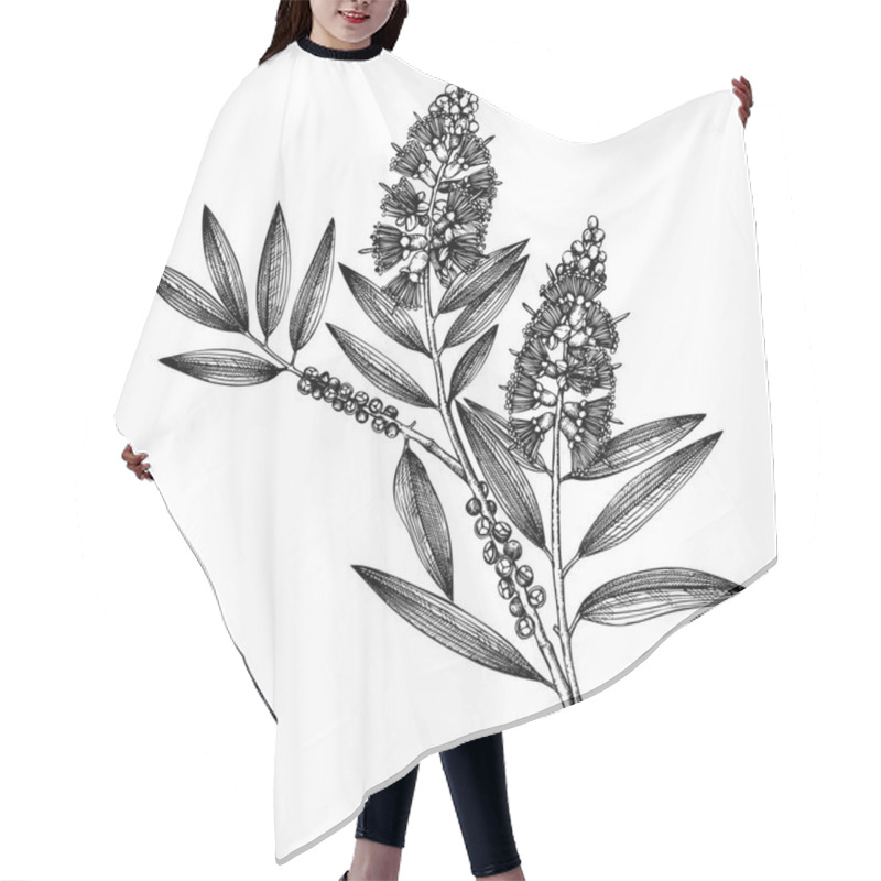 Personality  Tea Tree Leaves And Flowers In Hand Drawn Style, Vector Illustration, Design Elements On White Backround Hair Cutting Cape