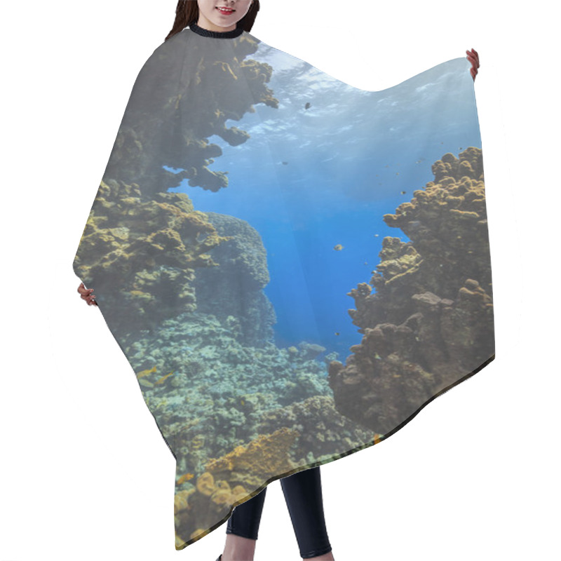 Personality  Coral Reef, Red Sea, Egypt Hair Cutting Cape