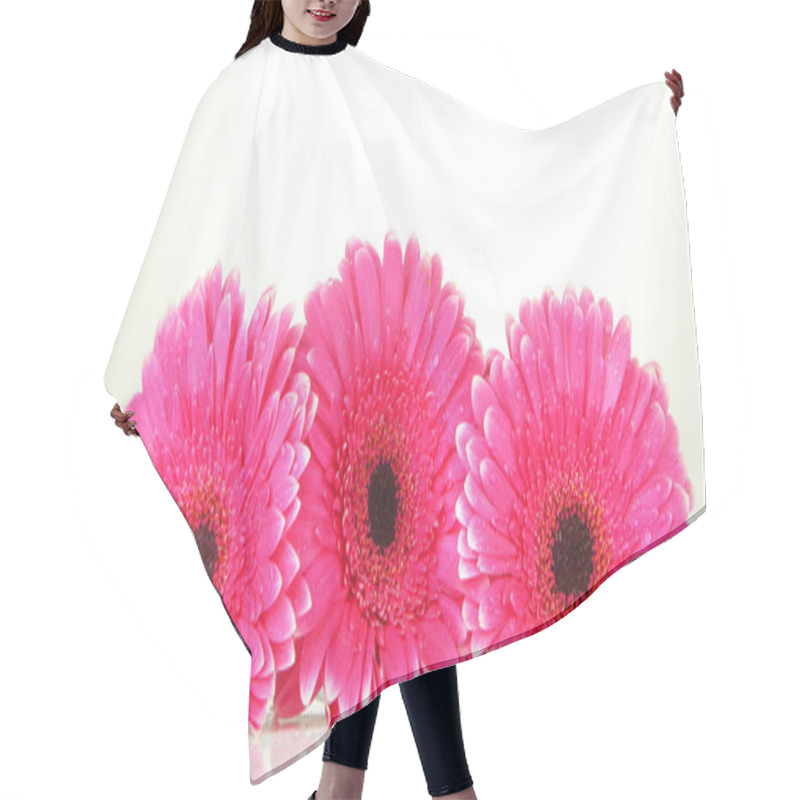 Personality  Beautiful Pink Gerbera Flowers Isolated On White Hair Cutting Cape