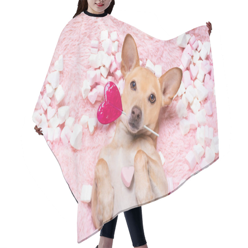 Personality  Chihuahua Dog Looking And Staring At You   ,while Lying On Bed Full Of Marshmallows As Background  , In Love, Pink Lolly Or Lollypop Hair Cutting Cape