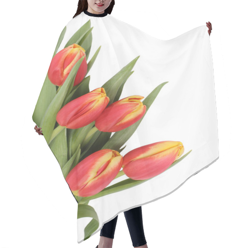 Personality  Tulip Flowers Isolated Hair Cutting Cape