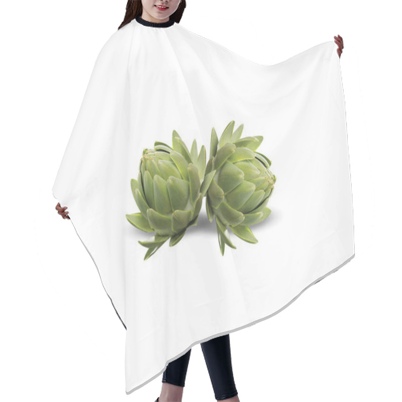 Personality  Globe Artichoke Or Cynara Cardunculus Fruits On Isolated White Background Hair Cutting Cape