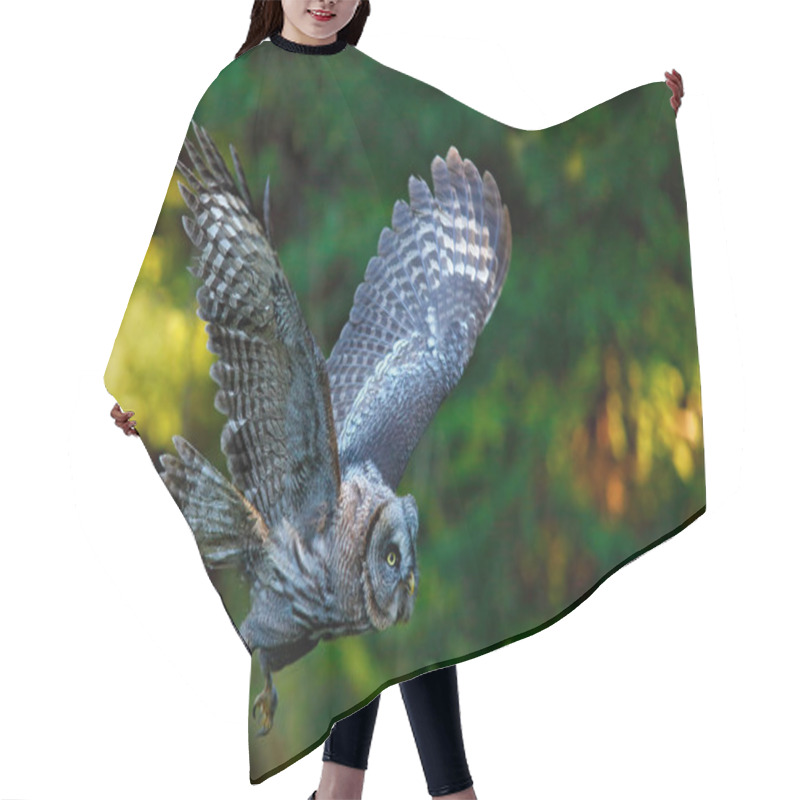 Personality  Flying Great Grey Owl Hair Cutting Cape