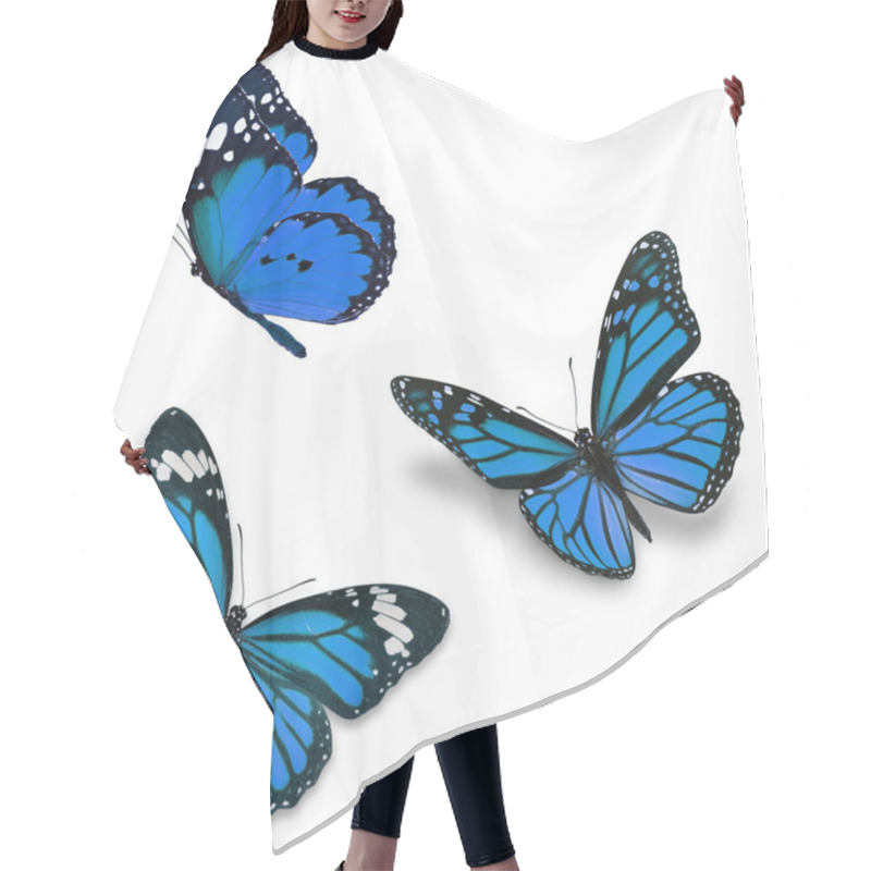 Personality  Three Blue Butterfly Hair Cutting Cape