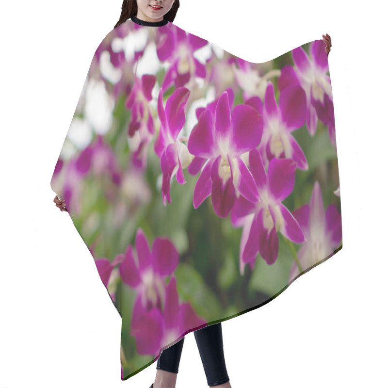 Personality  Bunches Of Pink Petals Dendrobium Hybrid Orchid Blossom On Dark Green Leaves Blurry Background  Hair Cutting Cape