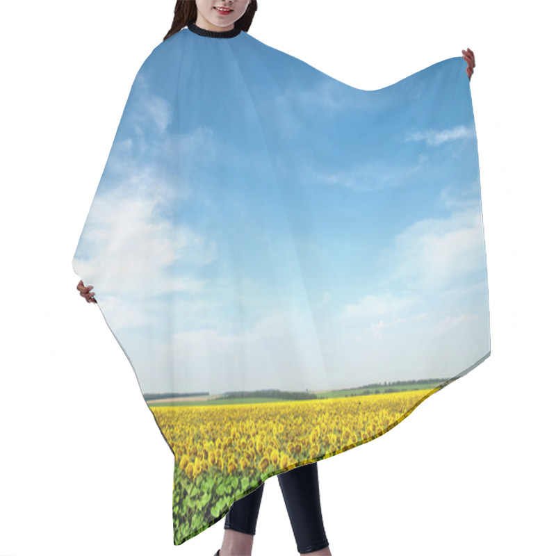 Personality  Sunflower Field Over Blue Sky Hair Cutting Cape