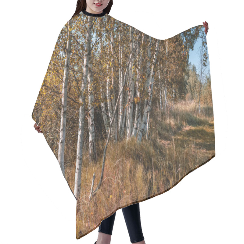 Personality  Birch Tree Trunks Texture In Direct Sunlight At Summer Day  Hair Cutting Cape