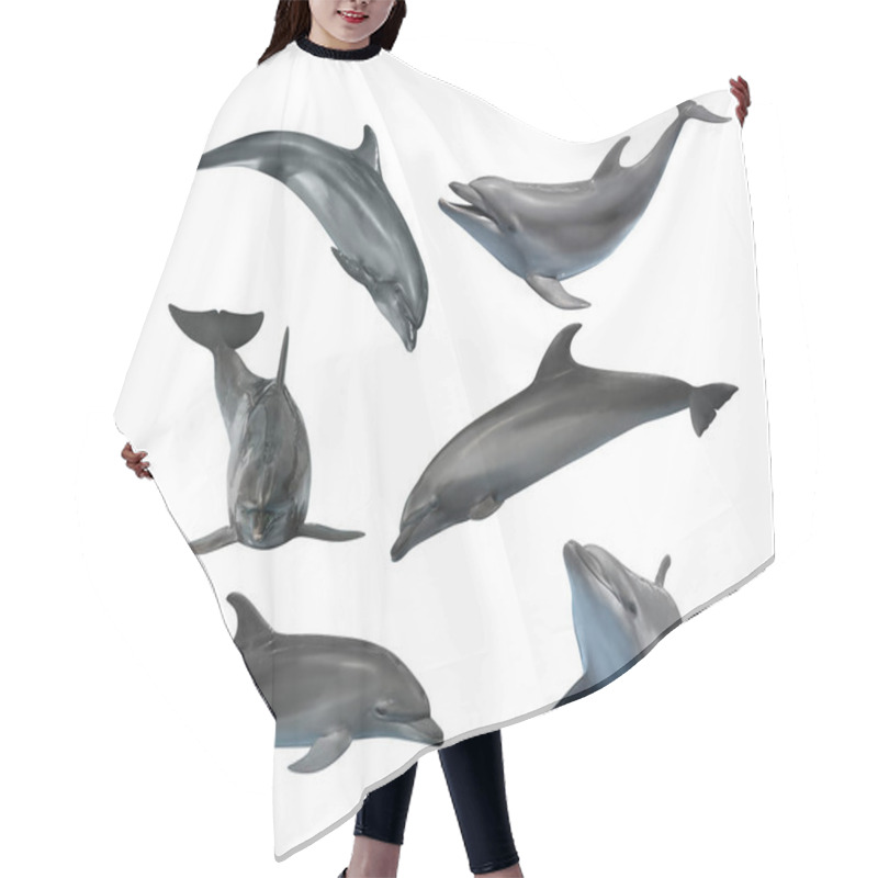 Personality  Beautiful Grey Bottlenose Dolphins On White Background, Collage Hair Cutting Cape