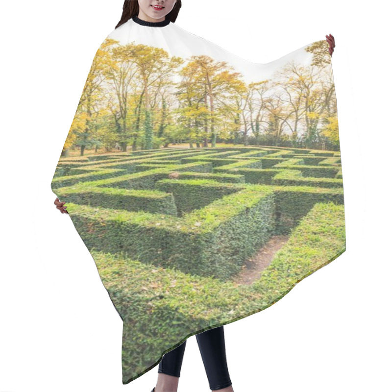 Personality  Ornamental Garden With Hedges Of Buxus Sempervirens As A Labyrinth. Maze Garden Ner Loucen Castle In Czech Republic. Hair Cutting Cape