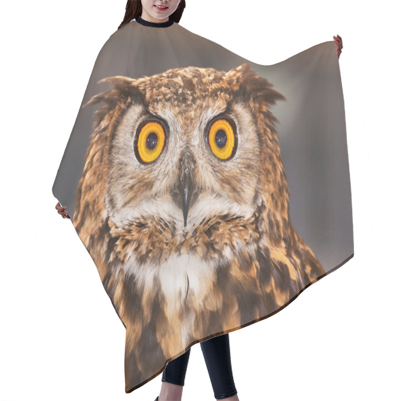 Personality  Nocturnal Bird Of Prey Provided In Good Vision Hair Cutting Cape