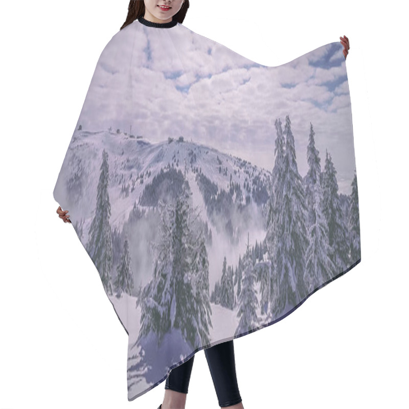 Personality  Picturesque View Of Endless Coniferous Forest On Snow-covered Hills At Sunny Day Hair Cutting Cape