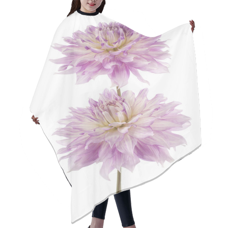 Personality  Dahlia Hair Cutting Cape